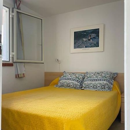 Appart. / Clim / Piscine / Mer A 300M Daire Linguizzetta Dış mekan fotoğraf
