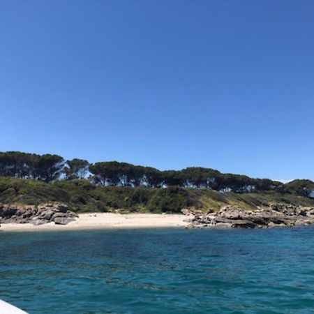 Appart. / Clim / Piscine / Mer A 300M Daire Linguizzetta Dış mekan fotoğraf